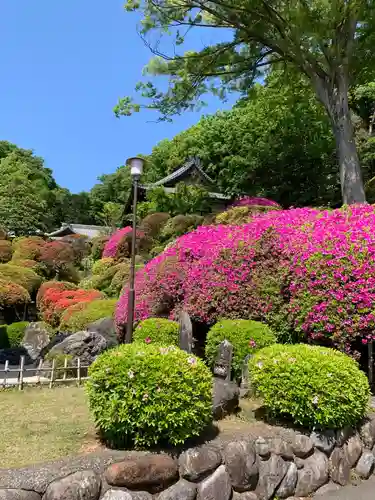 等覚院の庭園