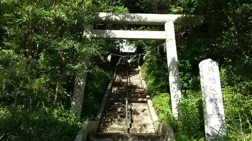 弟橘比賣神社の鳥居