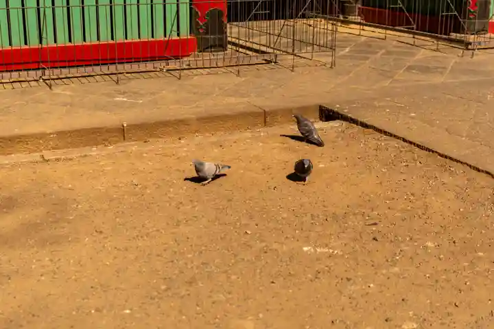 根津神社(東京都)