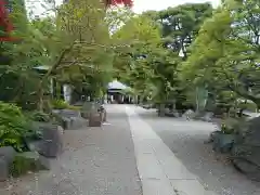 観音寺の建物その他