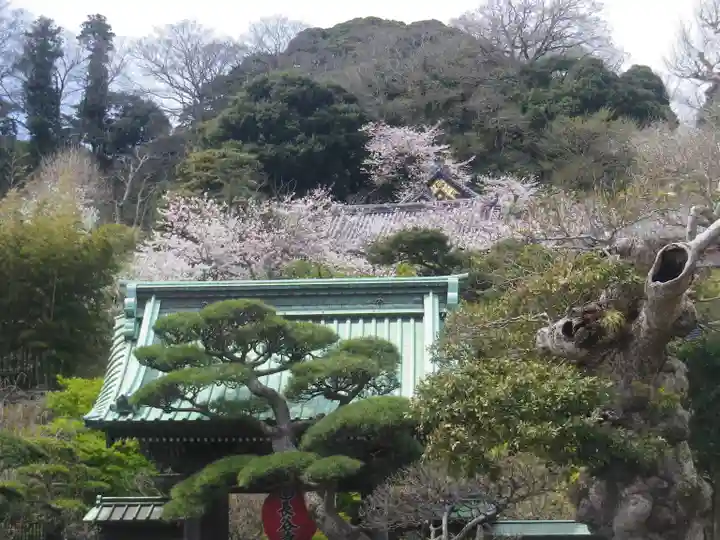 長谷寺のその他建物