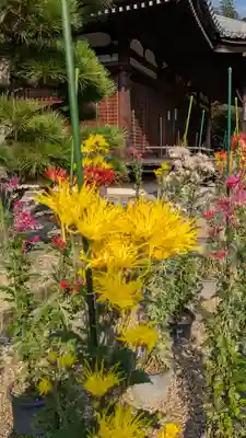 法金剛院(京都府)
