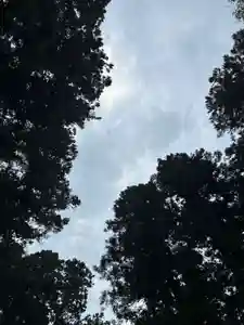 大宮温泉神社(栃木県)(2023年09月21日(木) 16時24分31秒投稿)