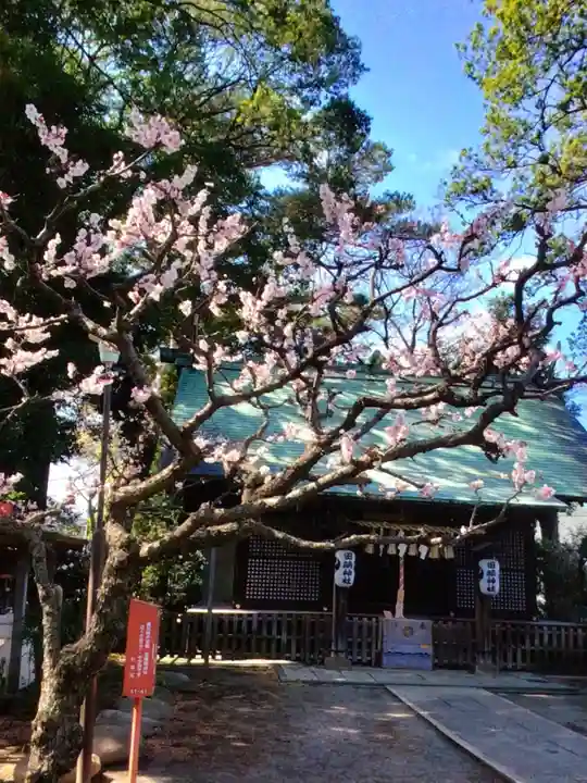 田端神社(東京都)