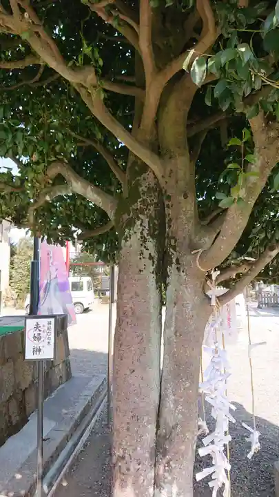 健田須賀神社(茨城県)