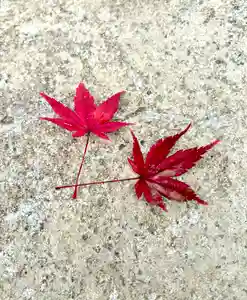 蚊里田八幡宮(長野県)(2024年11月22日(金) 15時08分03秒投稿)