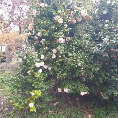 廣田神社～病厄除守護神～の自然