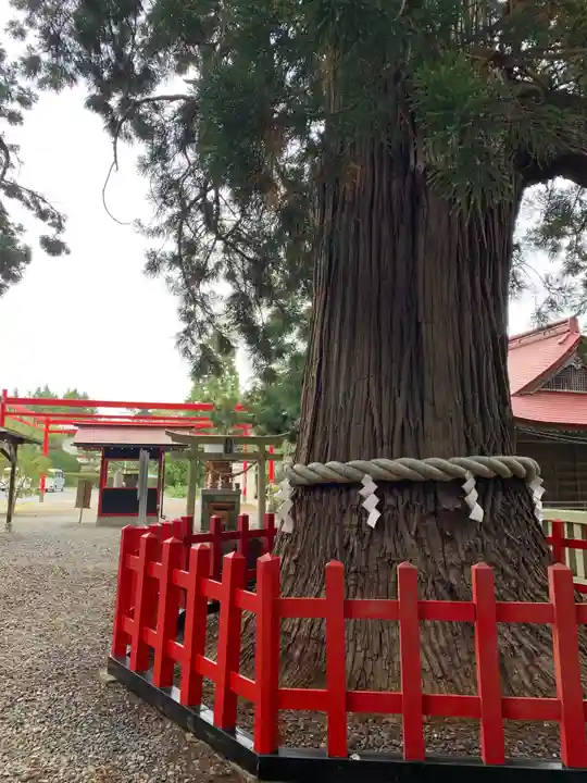 志和古稲荷神社のその他建物