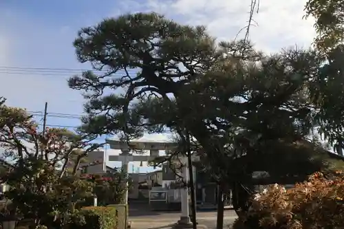 豊景神社の鳥居
