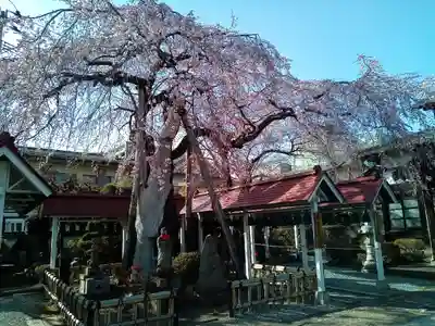 洞林寺(宮城県)