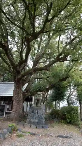滋賀県護国神社(滋賀県)