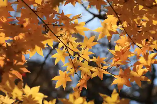 田村神社の庭園