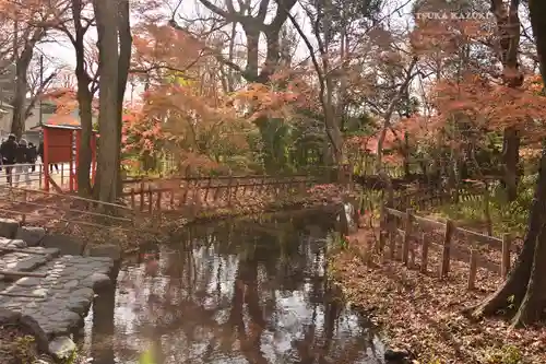 賀茂御祖神社（下鴨神社）(京都府)