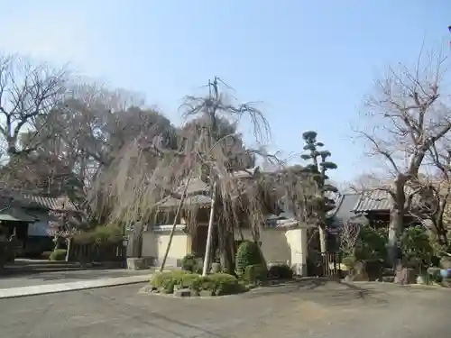 龍福寺(東京都)