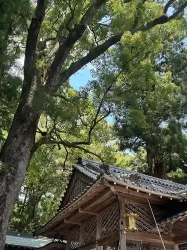 水屋神社(三重県)