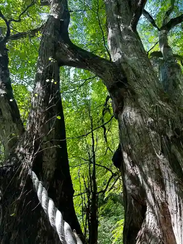 富岡神社(北海道)