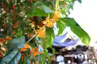 三津厳島神社の自然