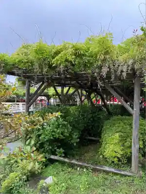 亀戸天神社(東京都)