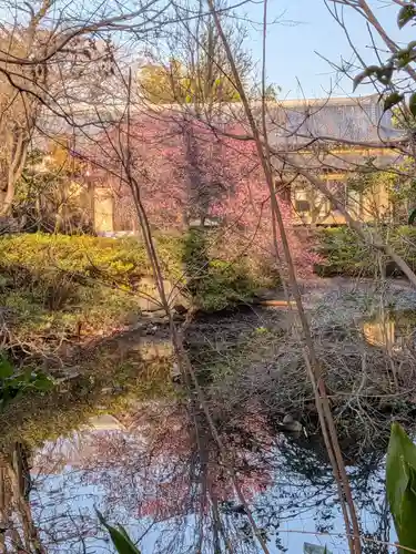 蓮華寺(東京都)