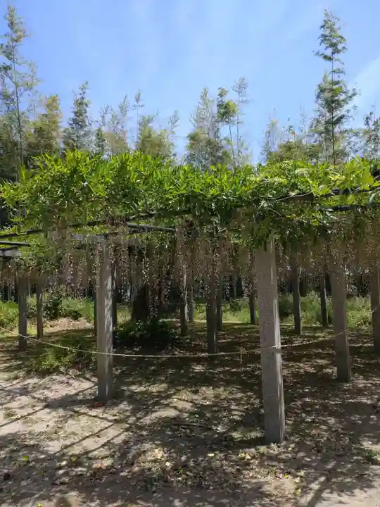 志那神社の自然