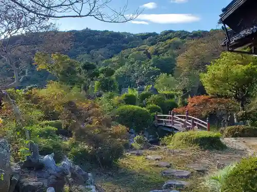 十輪院の庭園