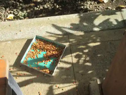 相模國分寺(神奈川県)