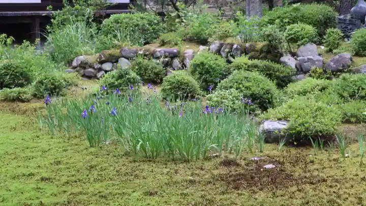 慈眼院(大阪府)