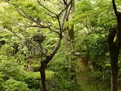 西明寺(京都府)