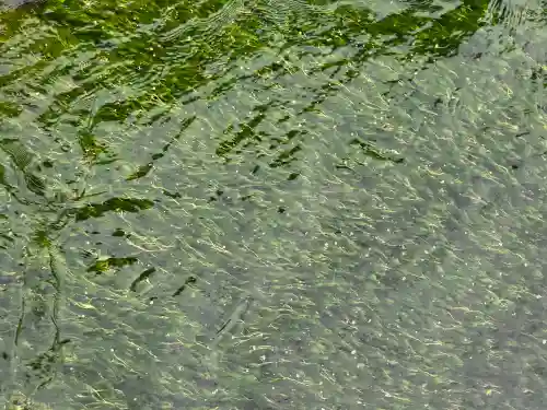 源海寺(滋賀県)