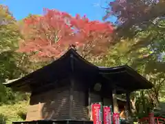 普門寺(切り絵御朱印発祥の寺)の自然