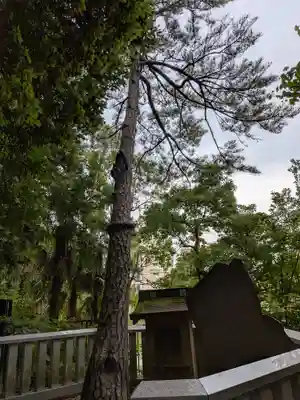 妙福寺(東京都)