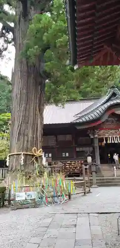 北口本宮冨士浅間神社の自然