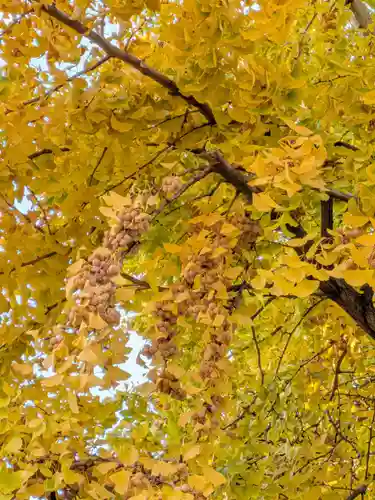 仙寿院(東京都)