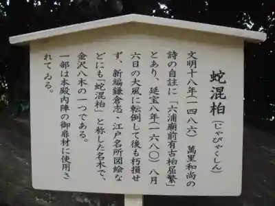 瀬戸神社の歴史