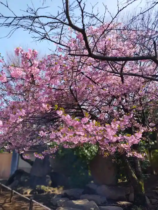 新井薬師(梅照院)(東京都)