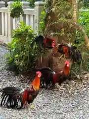 大甕神社(茨城県)