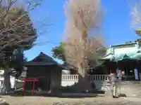 走湯神社(神奈川県)