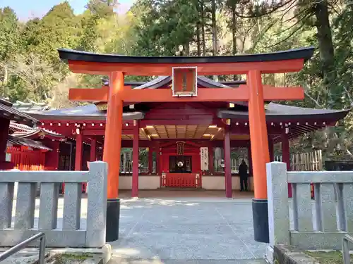 箱根神社の鳥居