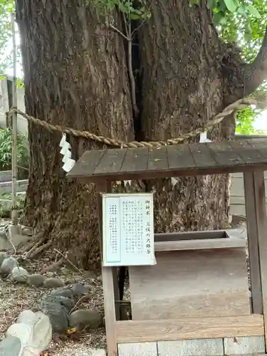 堤治神社(愛知県)