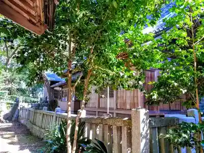 林若子社のその他建物