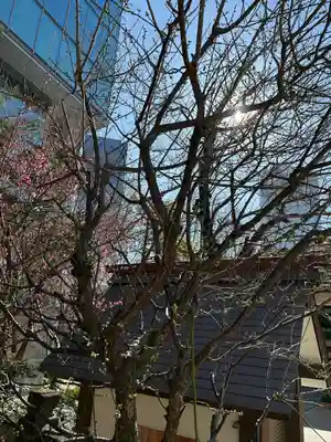 六本木天祖神社(東京都)