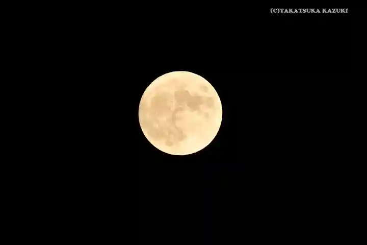 阿佐ヶ谷神明宮の自然