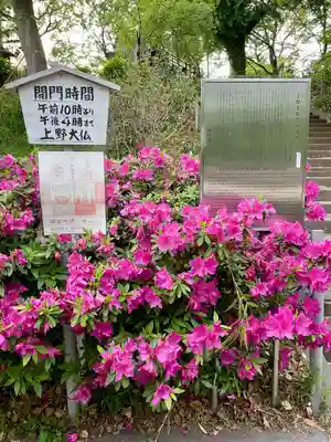 上野大佛(東京都)