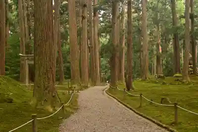 平泉寺白山神社(福井県)