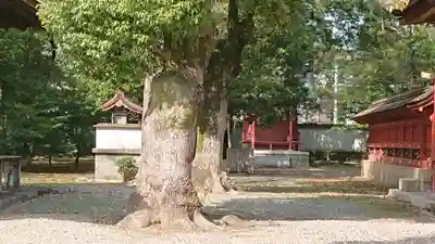 伊賀八幡宮の末社・摂社