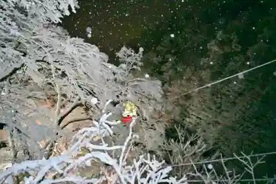 高龍神社(新潟県)