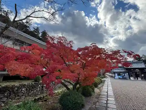 金剛寺(大阪府)