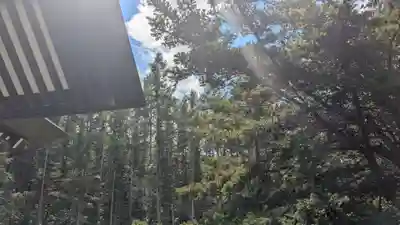 忠類神社の自然