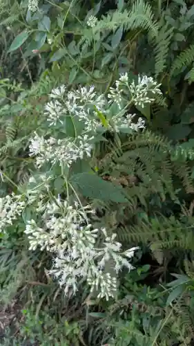 江文神社(京都府)