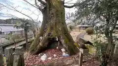 天神社(奈良県)